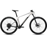 Ghost Lector SF LC, 12 Gang SRAM SX Eagle Schaltwerk, Kettenschaltung grau 44 cm