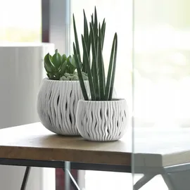 Prosperplast Sandy Bowl Ø 29 x 19 cm grau