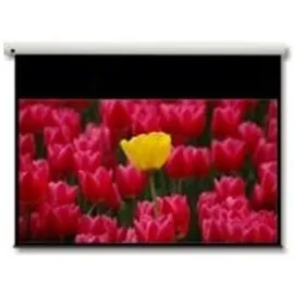 Optoma DE-9106EGA 234x133 16:9