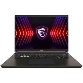 MSI Vector 17 HX A13VHG-677 Intel Core i9-13980HX, Gaming Notebook 43.2 cm (17")