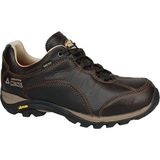 MEINDL Linosa Identity GTX Herren