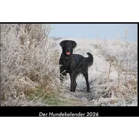 Vero Kalender Der Hundekalender 2026 Fotokalender DIN A3 von