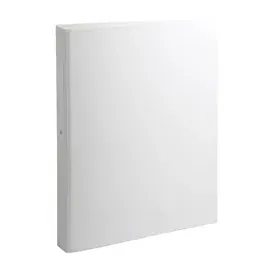 Exacompta 54388E 10er Pack Ringbücher 2 Ringe Füllhöhe 25mm, Rücken 40mm, aufgeklebtes Rückenschild, für DIN A4 Kunststoffbezug aussen und innen, weiß