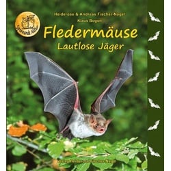 Fledermäuse