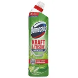 Domestos WC-Reiniger Gel extra stark 750 ml