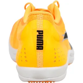 Puma evoSPEED Long Distance Herren orange, 44