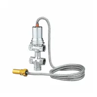 CALEFFI Doppelte thermische Ablaufsicherung 1/2 Zoll Sicherheitsventil