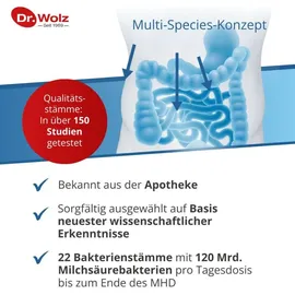Dr. Wolz Darmflora Plus Select Intens Kapseln 40 St.