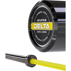 Langhantel | Delta | Electric Yellow | 20kg | IPF- & IWF-Markierungen Einheitsfarbe NO SIZE