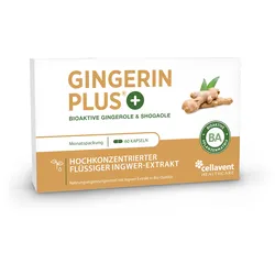 Bioaktiver Ingwer-Extrakt - Gingerin PLUS