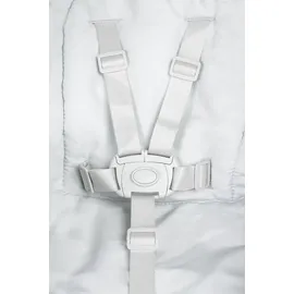 Caretero Caretero, Hochstuhl Zubehör, Krzesełko Sitron grey