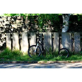 Yedoo Scooter Yedoo Three Y40 Tretroller mit Luftreifen 20/16 Rot