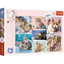 Puzzle Katzenwelt TREFL 16420 100 Teile
