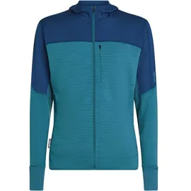 Icebreaker Merino Blend 300 RealFleece Kapuzenjacke Herren Orange L