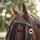 QHP Fliegenfransen Leder Pony Schwarz