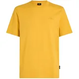 O'Neill Small Logo T-Shirt in Gelb | Gr.: M