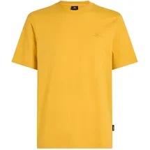 O'Neill Small Logo T-Shirt in Gelb | Gr.: M