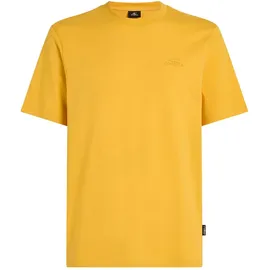 O'Neill Small Logo T-Shirt in Gelb | Gr.: M