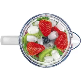 Concept SM3391 Standmixer