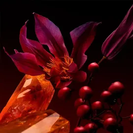 HUGO BOSS Boss The Scent Elixir For Her Parfum Intense 30 ml