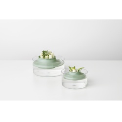Brabantia TASTY+ Nachzucht-Kit für Kräuter/Gemüse, Nie wieder Abfall mit dem genialen Nachernte-Kit, Farbe: Jade Green