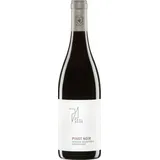 Weingut Paul Achs Pinot Noir Reserve Selection P 2022 Achs 0,75l