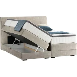 Livetastic Novel Boxspringbett 160 x 200 cm H2 Hellgrau