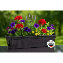 Buri Balkonkasten 100 x 24 x 17 cm Grau