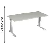 Geramöbel Schreibtisch Flex lichtgrau