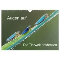 Calvendo Augen auf - versteckte Tierwelt (Wandkalender 2026 DIN