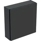 Geberit Hängeschrank 45x46,7x15cm, qu., 1 Tür, 502319JK1