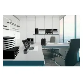 Exacompta 182014D Packung (mit 6 Stehsammler MAG-CUBE, ECOBlack - schwarz