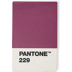 Pantone Kartenetui Aubergine