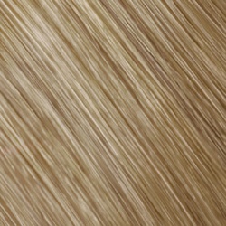 Goldwell Topchic Haarfarbe 8N hellblond