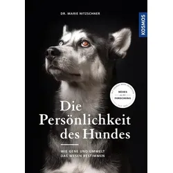 Die Persönlichkeit des Hundes