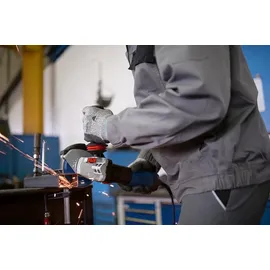 Bosch GWS 17-125 Professional
