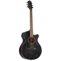 Red Hill Western Vintage Elektrische Gitarre, Mini Jumbo Cutaway, Schwarz, mit PS-400T Pickup System