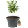 BigDean Blumenkübel XXL 63 x 63 x 43 cm Schwarz