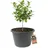BigDean Blumenkübel XXL 63 x 63 x 43 cm Schwarz