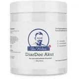 Dr. Hölter DiarDoc Akut Pulver 250 g