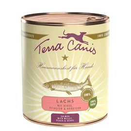 Terra Canis Classic 800g Dose Hundenassfutter 6 x 800 Gramm Lachs mit Hirse, Pfirsich & Kräuter