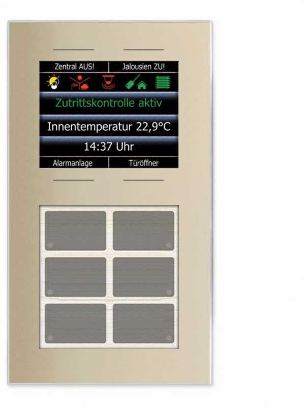 Glas-Infomodul mit sechs plus vier kapazitiven Tasten, 2,8 Zoll-Grafikdisplay und Temperatursensor in Champagner, LCN-GT10DC