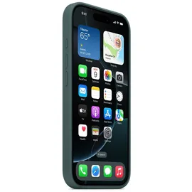 Apple iPhone 16 Pro Max Silikon Case mit MagSafe seegrün