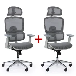 Bürostuhl  WILMOT 1+1 GRATIS, grau Konstruktion, grau