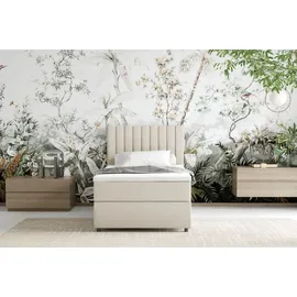panda möbel Boxspringbett Everest, mit Topper - beige