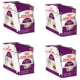 Royal Canin Sensory smell 48 x 85 g