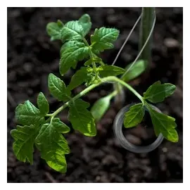 Relaxdays Bindedraht im 3er Set, rostfrei für Garten, verzinker Stahl, dünner Basteldraht, 50 m lang, D: 1 mm, silber