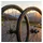 CAMPAGNOLO Laufradsatz Campa. Hyperon 2WF DB WC4013AP1A110, 28", CL, Shimano HG