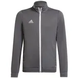 Adidas Entrada 22 Trainingsjacke Kinder