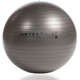 Artzt Vitality Fitness-Ball Professional ø 65 cm,